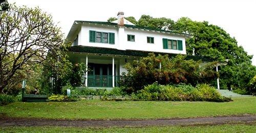 Ohia at Pahala Plantation Cottages