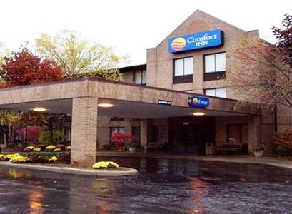 Comfort Inn Livonia