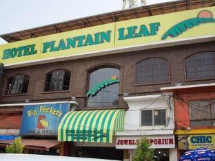 Hotel Plantain Leaf