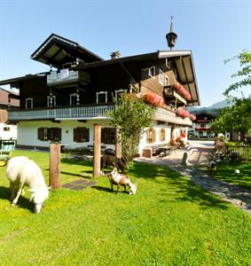 Bauernhof Baby und Kinderbauernhof Scharrerhof