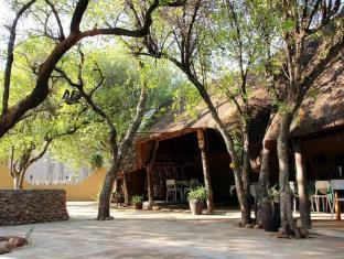 Ukutula Lion Lodge