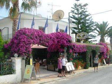 Harry's Bar and Apartments