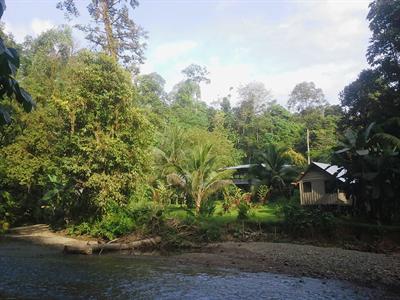 Estacion Biologica Tamandua