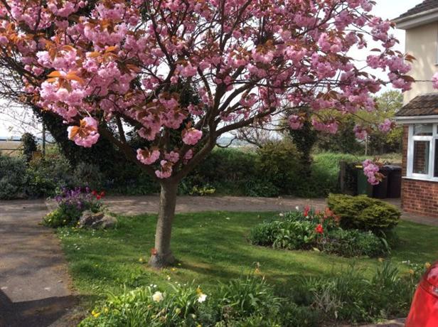 Homestay in Rawreth near Hullbridge Sports Football Club
