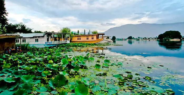 House Boat Floating Heaven