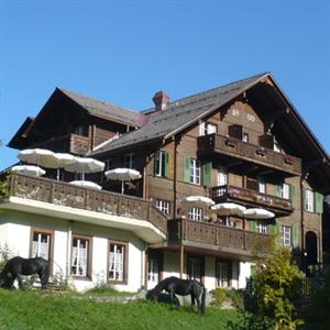 Hotel Wildhorn