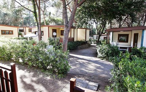 Il Capannino Camping