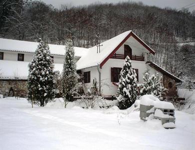 Pensiunea Iedera Transylvania