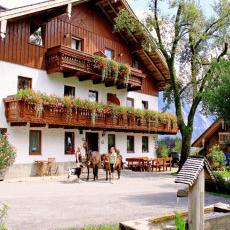 Bauernhof Grubinger