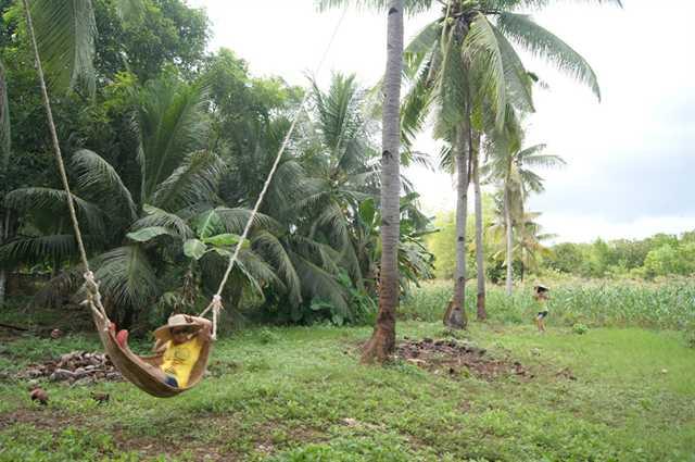 Bohol Coco Farm Hotel