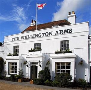 The Wellington Arms Inn Hook