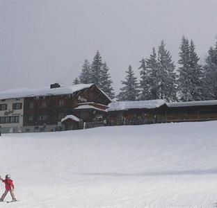 Berghotel Alpina Am Pizol