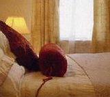 Nine Acres B&B