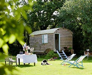 Mollies Hut
