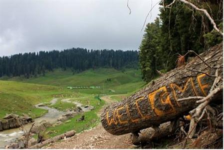 Gulmarg Meadows