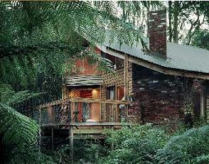 Woodlands Rainforest Retreat