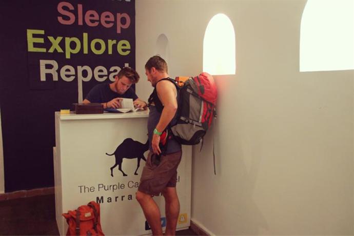 Purple Camel Hostel