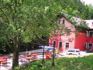 Hotel Petski Strazne