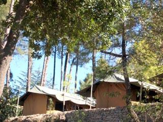 Camp Chrysalid Junga