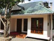 The Green Dale Homestay