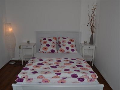 Apartmanovy dum Hartmanice