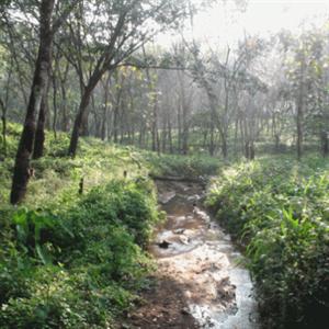 Arayanpara Homes