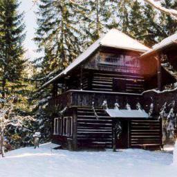 Almhaus Verditz Hutte