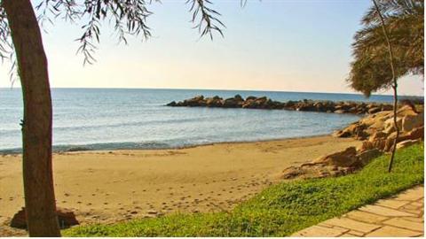 Divine Coast