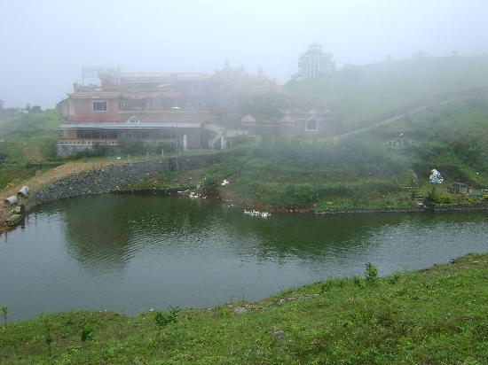 Enjoy the cool breeze soothing vibes and green ambience