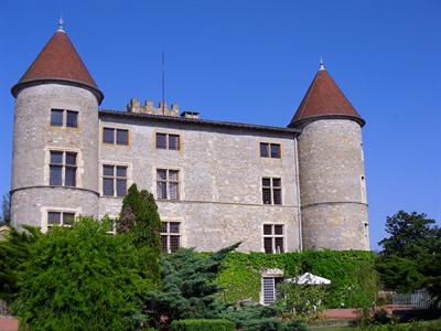 Chateau De Tanay