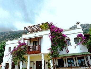 Villa Sultan Mosaicci Art Hotel Kalkan