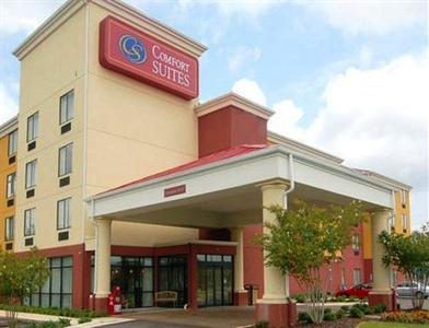 Comfort Suites Tuscaloosa