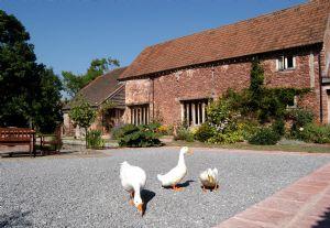 Gurney Manor Mill Bed & Breakfast Bridgwater
