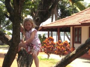 Homestay on the banks of backwaters in Cochin Kerala