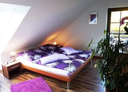 Ferienwohnung Orchidee Bad Munstereifel