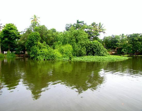 An eco-friendly backwater homestay