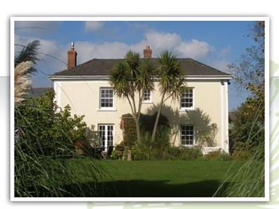 Elmfield