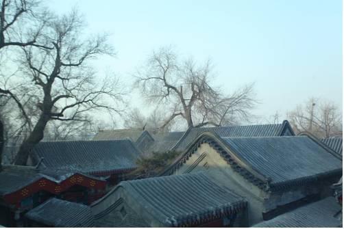 Scholar Tree Courtyard Hotel