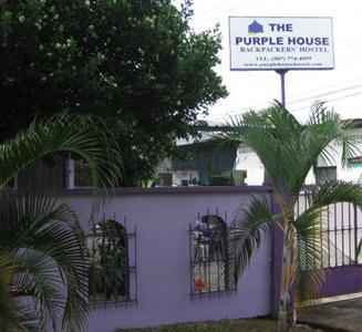 The Purple House International Backpackers Hostel