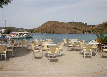 Delfini