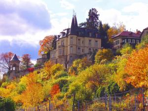 Wellnesspension Haardter Schloss Neustadt an der Weinstrasse