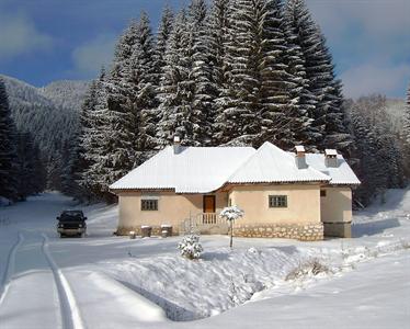 Cabana Pietricica