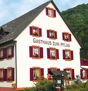 Gasthof zum Pflug