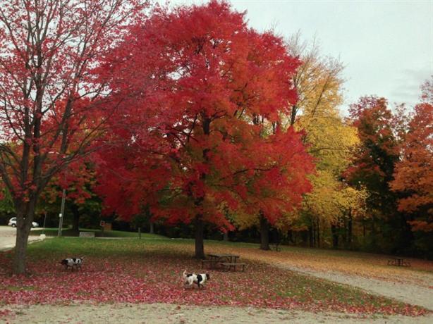 Homestay in Burlington near Burlington GO Station