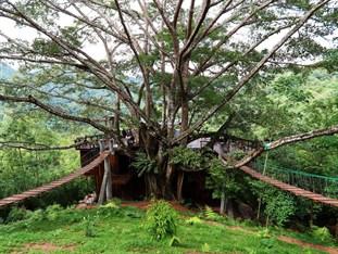 The Giant Chiangmai