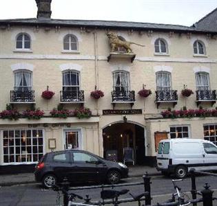 Golden Lion