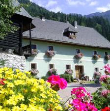 Bauernhof Almland Hutte & Bergland Hutte