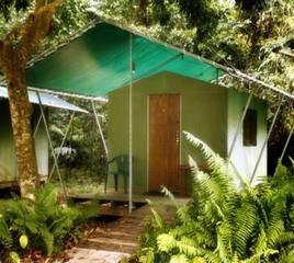 Jungle Lodge Cape Tribulation