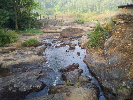 On the banks of Muthirapuzha