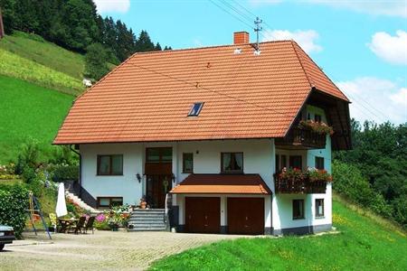 Holiday Home Salmensbach Hofstetten